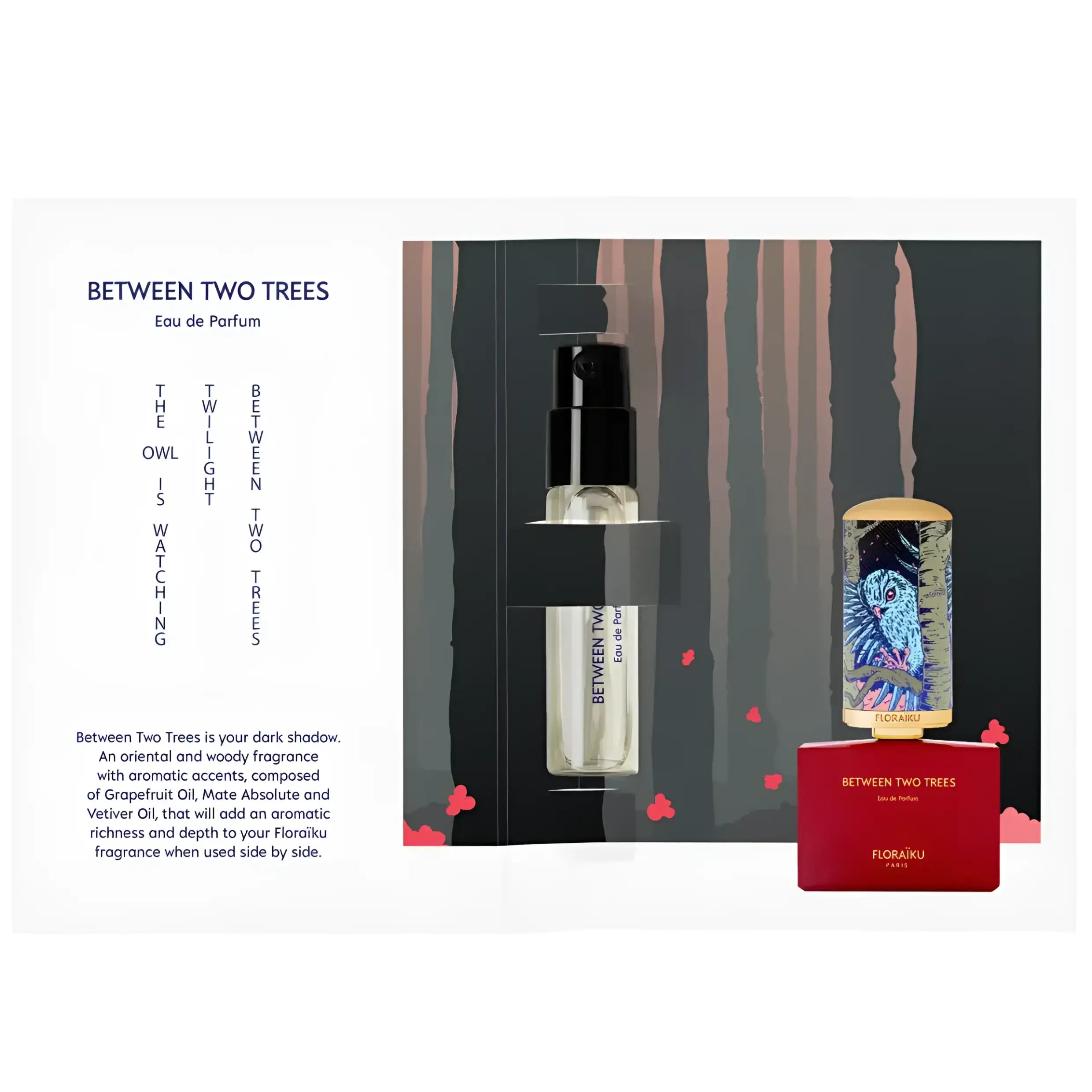 Floraïku Paris | BETWEEN TWO TREES - Sample (100% off)